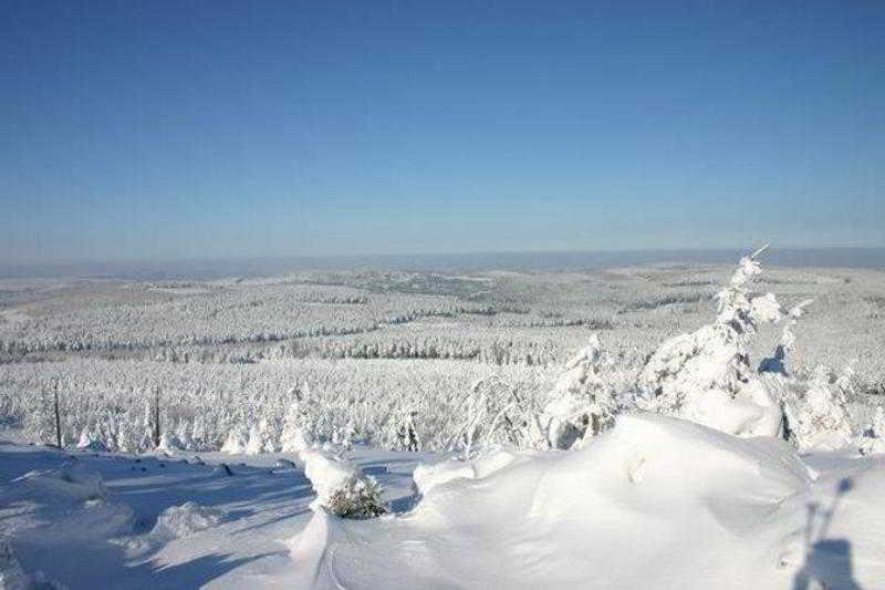 Ahorn Waldhotel Altenberg 외부 사진